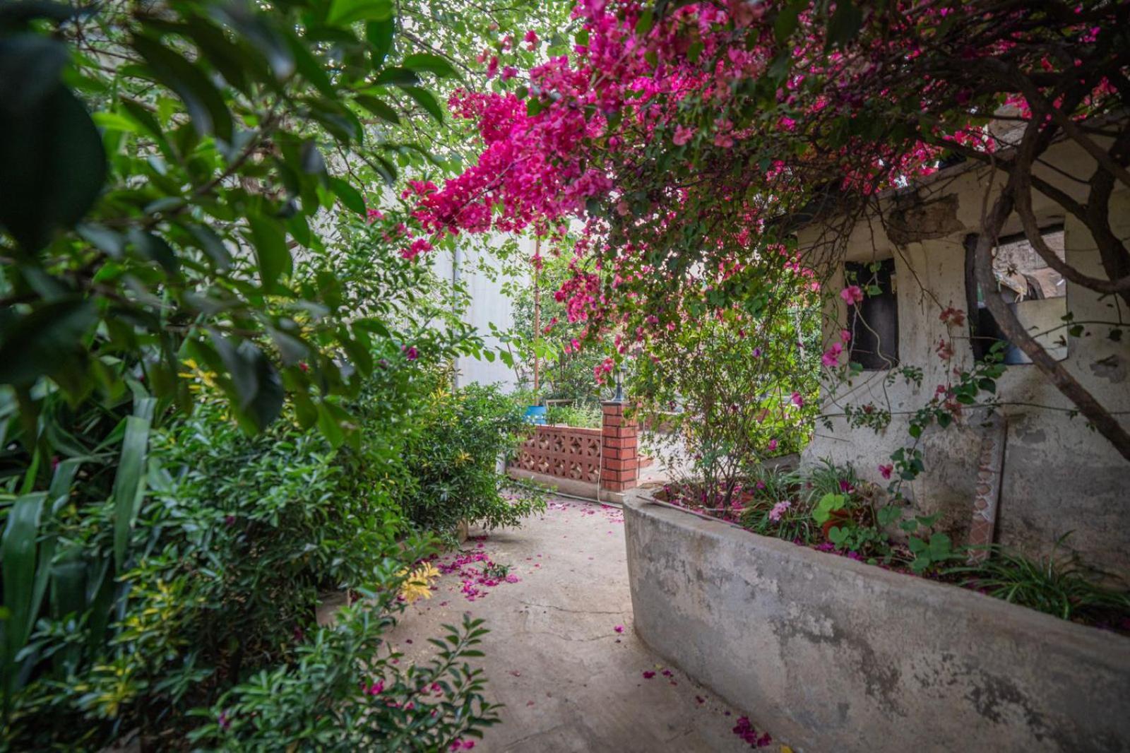 Central House With Beautiful Garden Amman Eksteriør billede